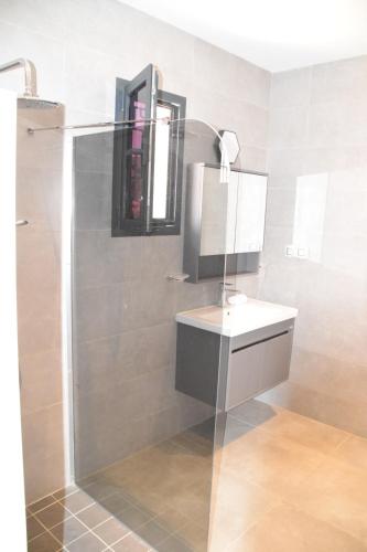 a bathroom with a sink and a shower at VillaRama in Saint-Louis