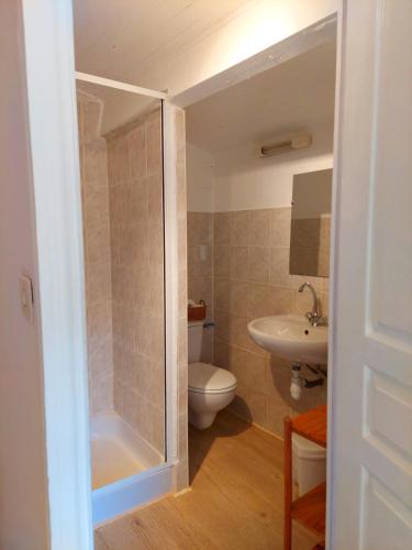 a bathroom with a shower and a toilet and a sink at Auberge de Miélandre in Teyssières