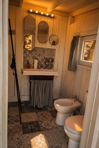 a bathroom with a toilet and a sink at Agriturismo Verdesole in Civitella San Paolo
