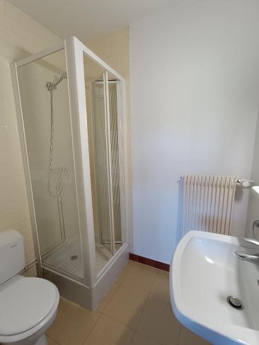 a bathroom with a shower and a toilet and a sink at Gîte les Égravines in Mijoux