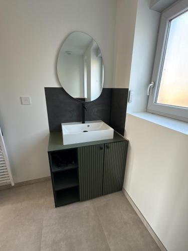 a bathroom with a sink and a mirror at La Bergerie 2 in Neufchâteau