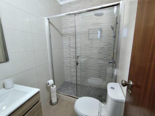 a bathroom with a shower with a toilet and a sink at Toca da Raposa in Estremoz
