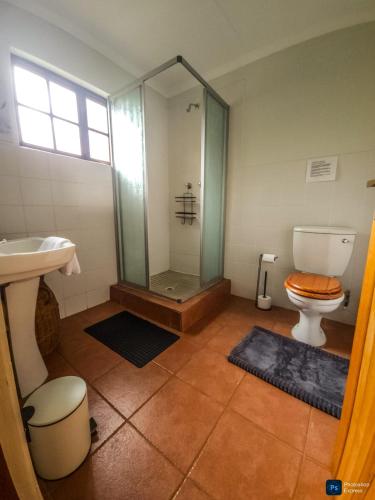 a bathroom with a shower and a toilet and a sink at The GingerPig Inn in Die Ark