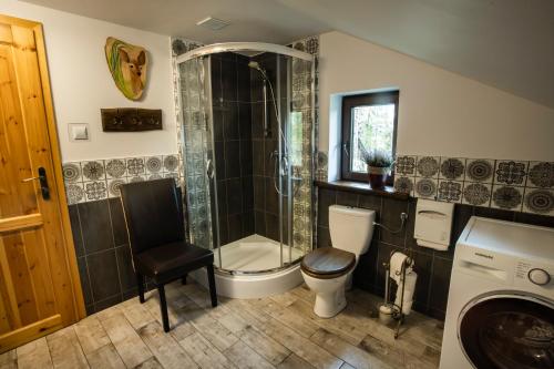 a bathroom with a shower and a toilet and a sink at Agroturystyka na Podlasiu Kraina Puszczyka-Puszczykówka Biebrza, Augustów in Pokośno