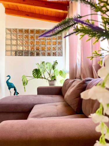 a living room with a couch and a bird on the wall at DomuMnG in Elmas