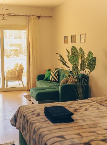 a living room with a green couch and a plant at Green studio in Dahab in Dahab