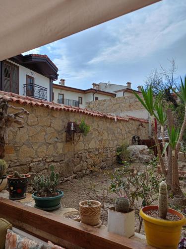 a garden with cacti and plants on a stone wall at Yükser Pansiyon in Side