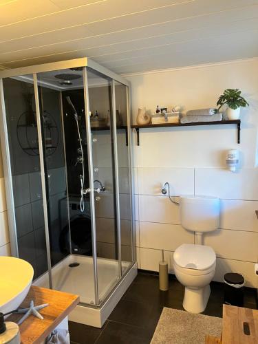 a bathroom with a shower and a toilet at Ferienhaus Luunsche Landpause in Lunow