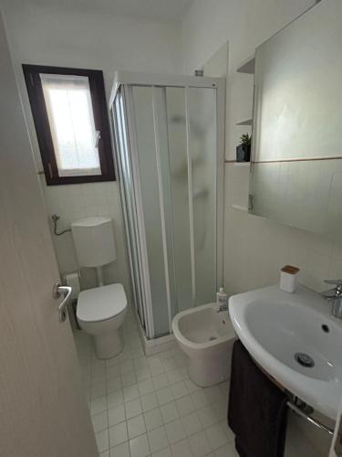 ein Badezimmer mit Toilette, Waschbecken und Dusche in der Unterkunft Le Laite in Conco