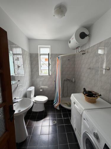 a bathroom with a sink and a toilet and a shower at Alex Guest Apartment in Gjirokastër