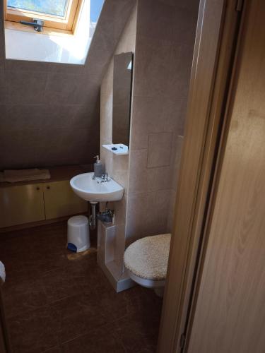 a bathroom with a sink and a toilet and a window at Ferienhaus König in Kurort Steinbach-Hallenberg