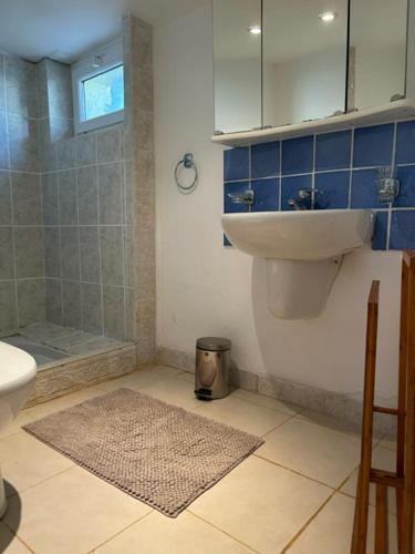 a bathroom with a sink and a shower at villa des calanques in Conca