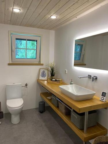 a bathroom with a sink and a toilet and a mirror at Villa Yasjö in Eringsboda