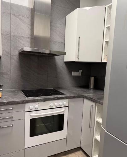 a kitchen with a stove and white cabinets at Hansa Living 3 Hamburg - Ruhiges Zimmer mit Gemeinschaftsküche in Hamburg