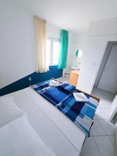 Hostel Amfora