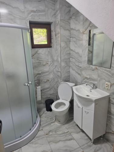 a bathroom with a toilet and a sink and a shower at Casa Tudor - Râul Mare Retezat in Clopotiva