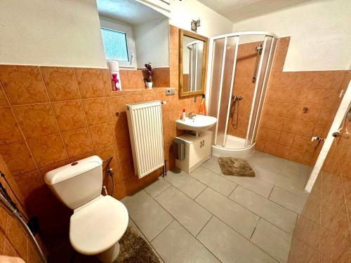 a bathroom with a toilet and a sink and a shower at Apartmán Dolní Němčice in Dačice