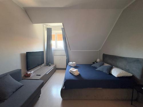 Lux Apartment Tuscolano - METRO A