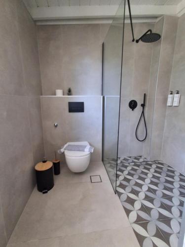 a bathroom with a toilet and a glass shower at Blue Horizon Rock-Sea View Apartment in Nidri in Nydri
