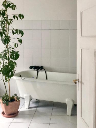 a white bath tub in a bathroom with a potted plant at NAO Eifelhaus von 1875 mit Garten in Üxheim