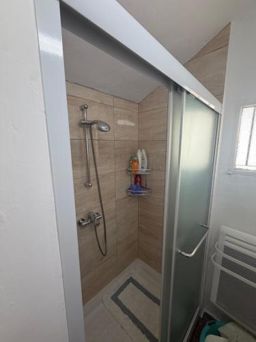 a shower with a glass door in a bathroom at Petrovounos Villa in Prodromos