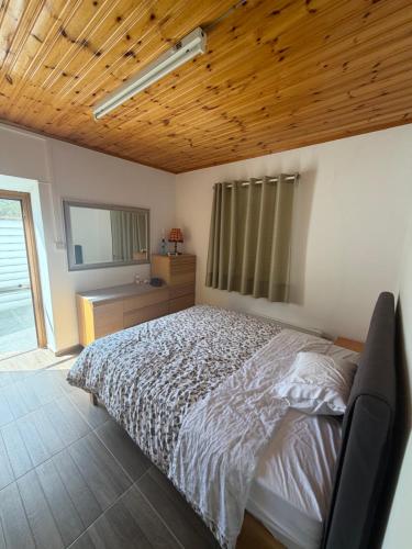 a bedroom with a bed and a wooden ceiling at Petrovounos Villa in Prodromos