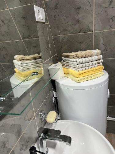 a bathroom with a toilet with towels on top of it at Vila Prevoja in Nova Varoš