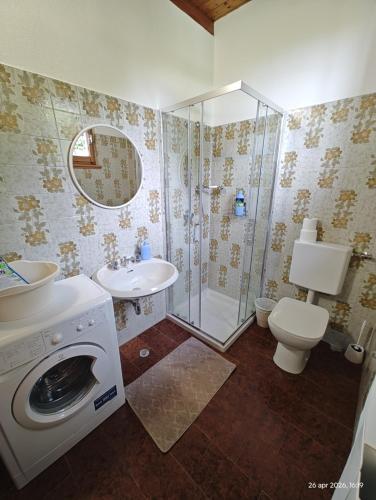 a bathroom with a shower and a toilet and a sink at LeonardosHome RockStairs in Trarego