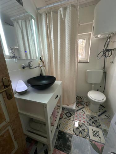 a bathroom with a sink and a toilet at Forest Escape House in Begovo Razdolje