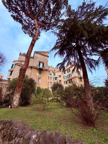 Domus Fiorelli