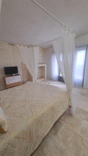 a bedroom with a bed with a mosquito net at Le logis troglodyte in Loches