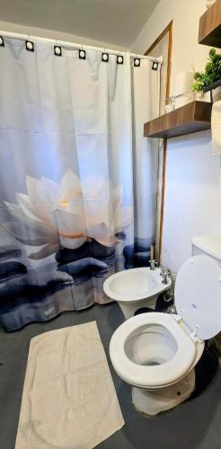 a bathroom with a toilet and a sink at ORIGEN Centro Monoambiente in El Bolsón