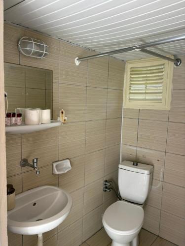 a bathroom with a toilet and a sink at Kuba pansiyon in Side