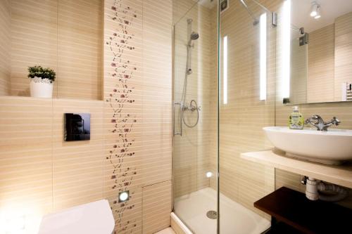 a bathroom with a shower and a sink and a toilet at Śliska Residence in Warsaw