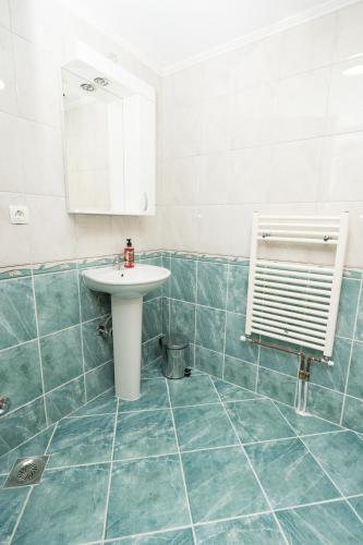 a bathroom with a sink and a mirror at Riverside Lim in Plav