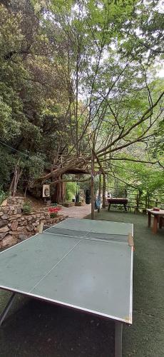 a ping pong table in a park with a tree at Rifugio Capo D,acqua in Positano