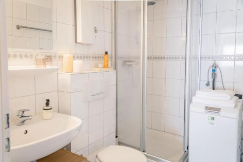 a bathroom with a shower and a toilet and a sink at Wald & Weg in Schmallenberg