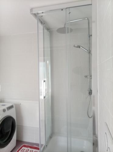 a shower with a glass door in a bathroom at Pratofiorito Apartment in Caslano