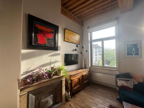 Beautiful Canut apartment, Croix-Rousse