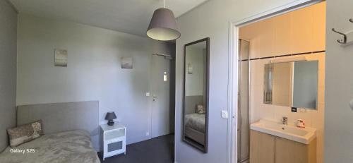 a bedroom with a bed and a sink and a mirror at Logis Auberges des Aulnettes in Houlgate