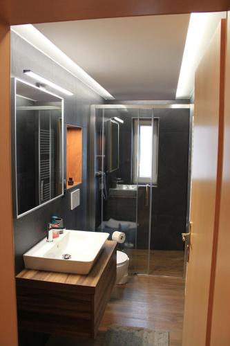 a bathroom with a sink and a toilet and a mirror at Apartments Gamsfeld in Russbach am Pass Gschütt