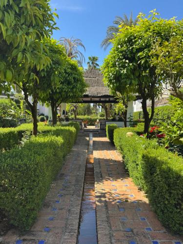 Anais Marbella photo 8