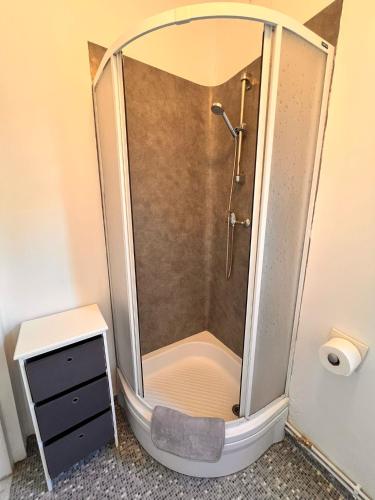 a shower in a bathroom with a toilet and a sink at Domki Sosnówka-Kaszuby in Zgorzałe
