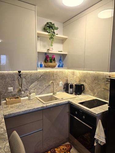 a kitchen with a sink and a counter at Nelly's Place 27 in Shkorpilovtsi