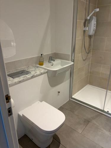 a bathroom with a toilet and a sink and a shower at The Bat Barn in Corsley