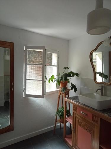 a bathroom with a sink and a mirror and a plant at Gite du Vidame in Montsoreau