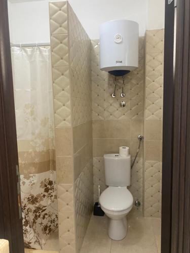 a small bathroom with a toilet and a tank at Apartments Delfin in Bar
