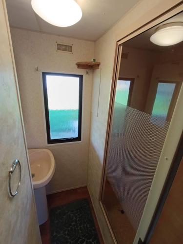 a bathroom with a shower and a sink and a window at Nad Łabędzim Stawem in Dratów