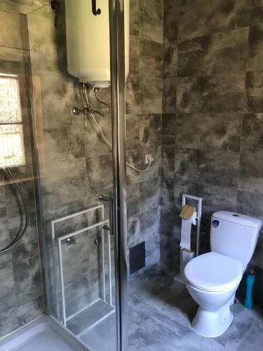 a bathroom with a toilet and a shower at Leśniczówka Turowo - Podlasie in Nowosiółki