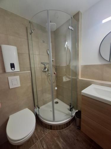 a bathroom with a shower and a toilet and a sink at Julia's Oase in Sasbachwalden